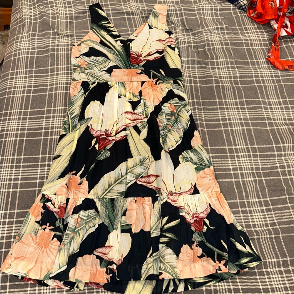 Ann Taylor Floral Dress - Black and Pink